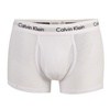 Calvin Klein Trunk Shorty
